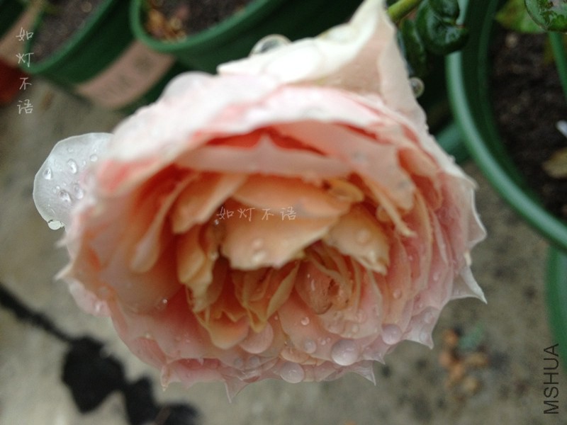 ��ͼ�ȱ� 3.jpg