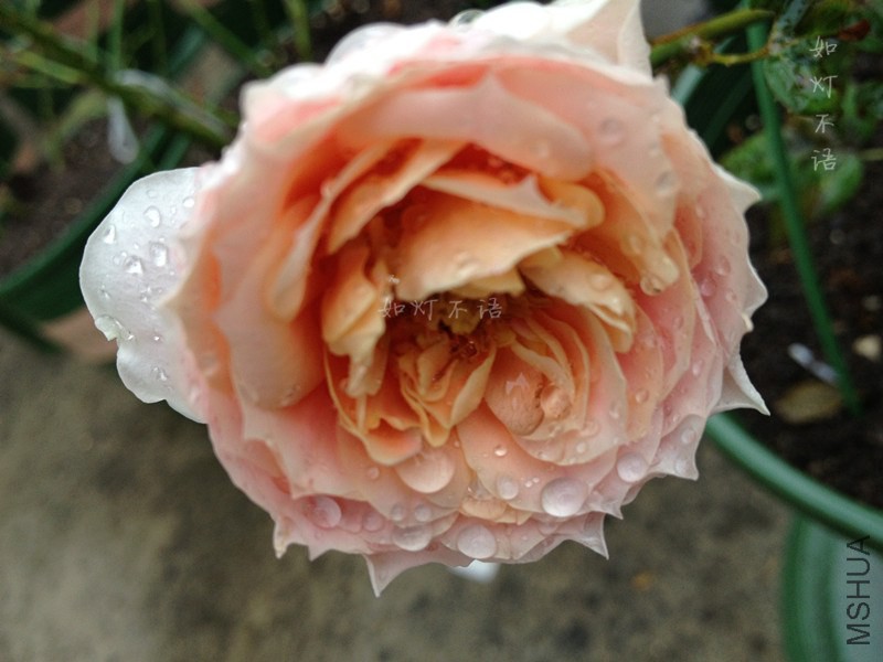 ��ͼ�ȱ� 4.jpg