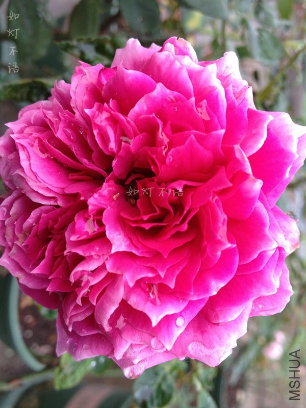 �������� 2.jpg