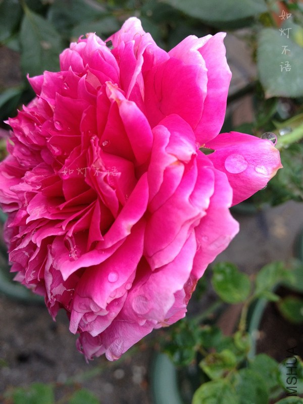 �������� 3.jpg