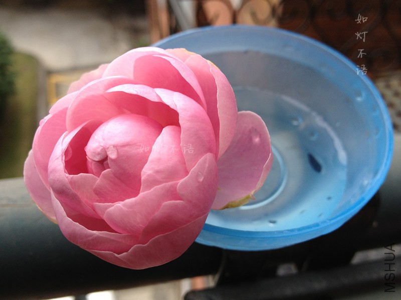 ������� 2.jpg