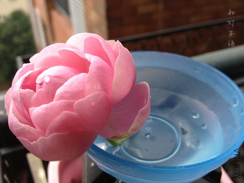 ������� 3.jpg