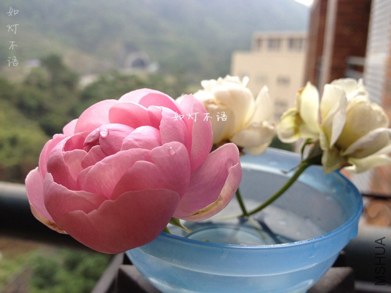 ������� 4.jpg