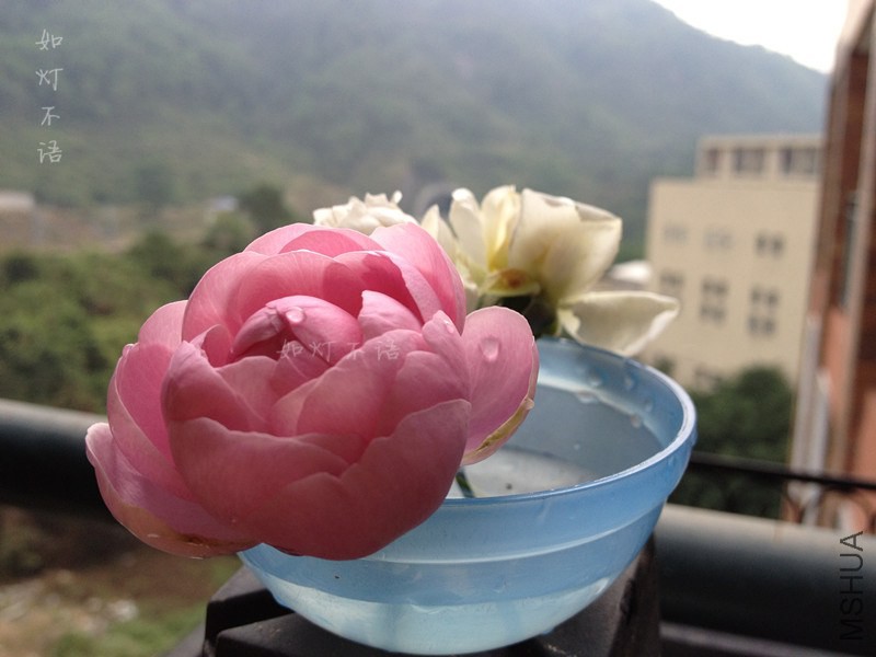 ������� 5.jpg