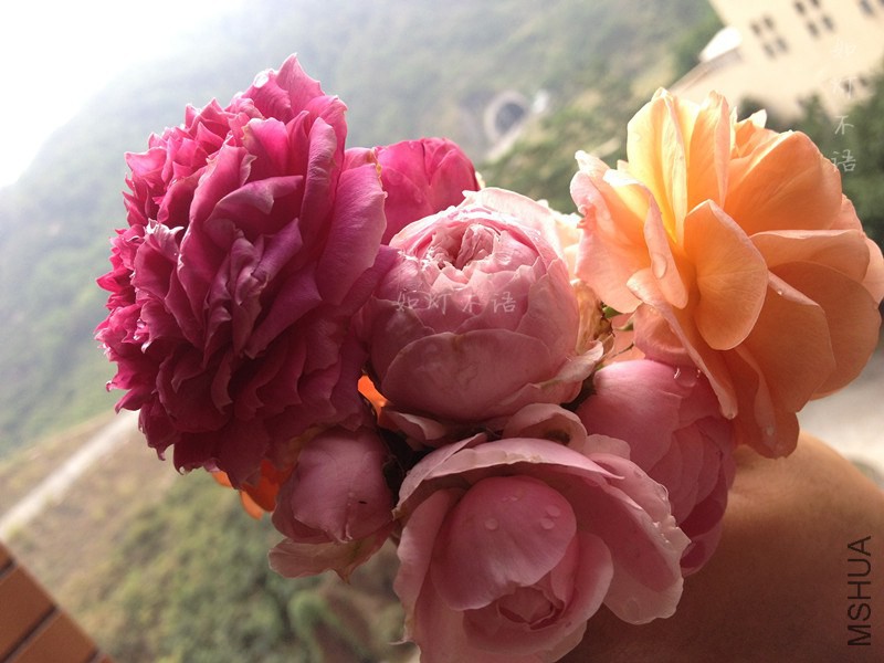 ����1 10.jpg