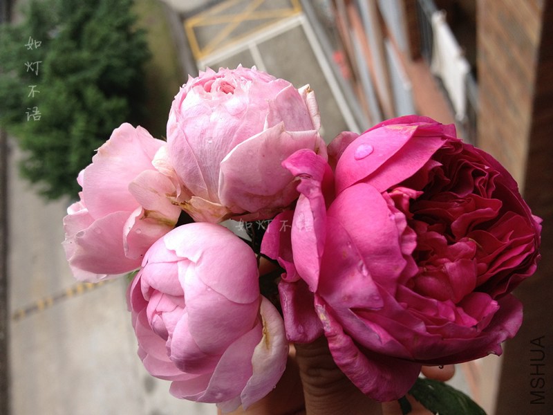 ����1 13.jpg