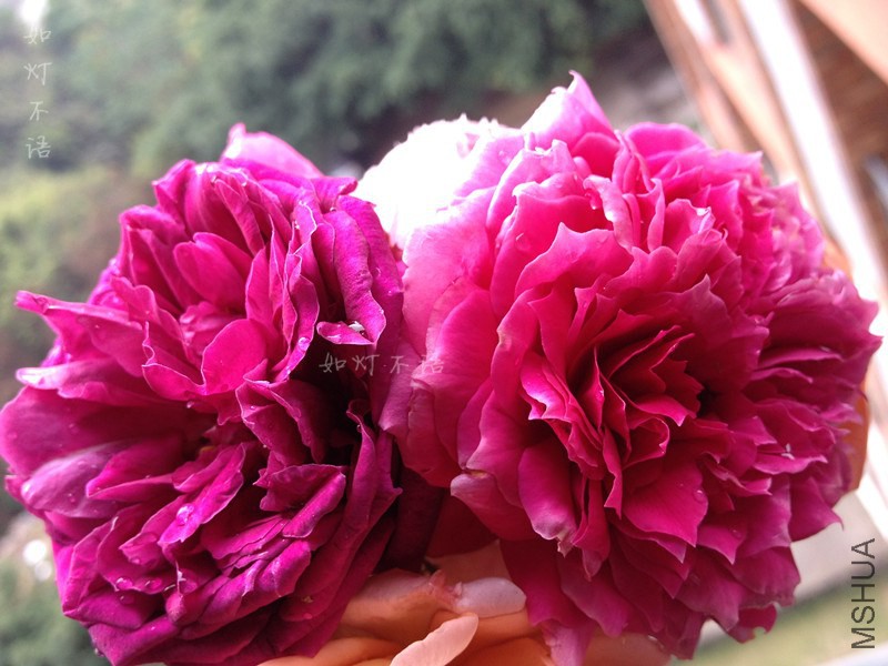 ����1 14.jpg