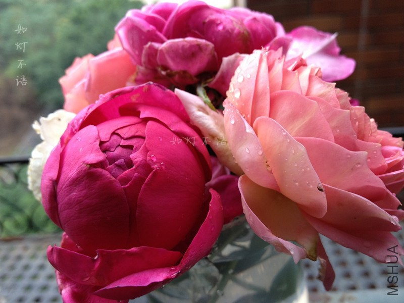 ����2 1 .jpg