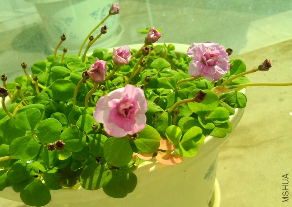 IMG20141220132607.jpg
