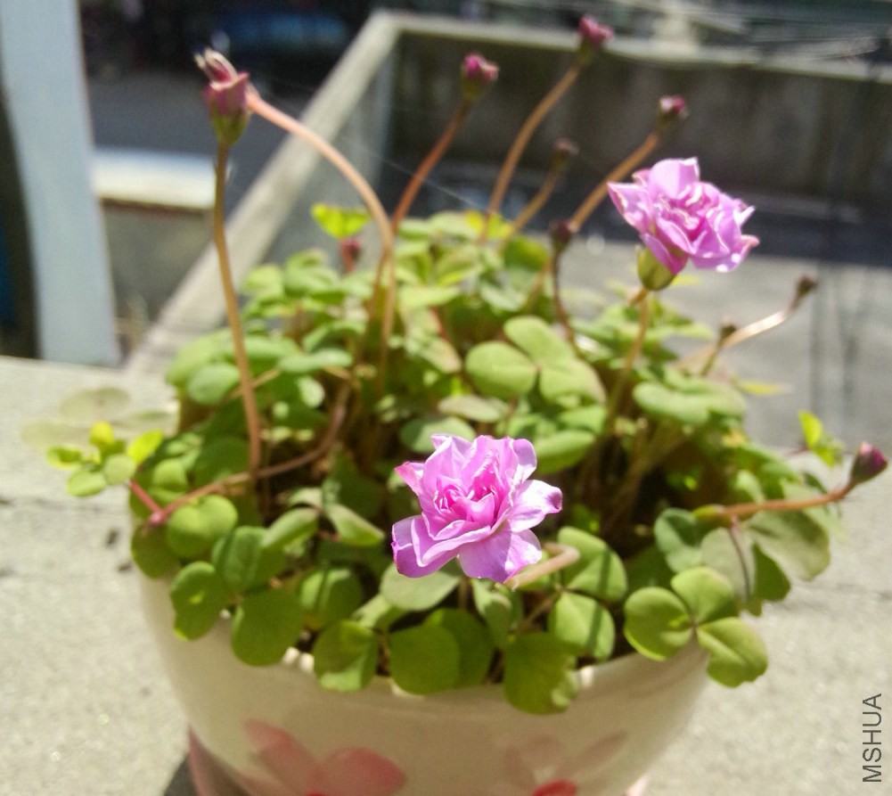 IMG20141217114201.jpg