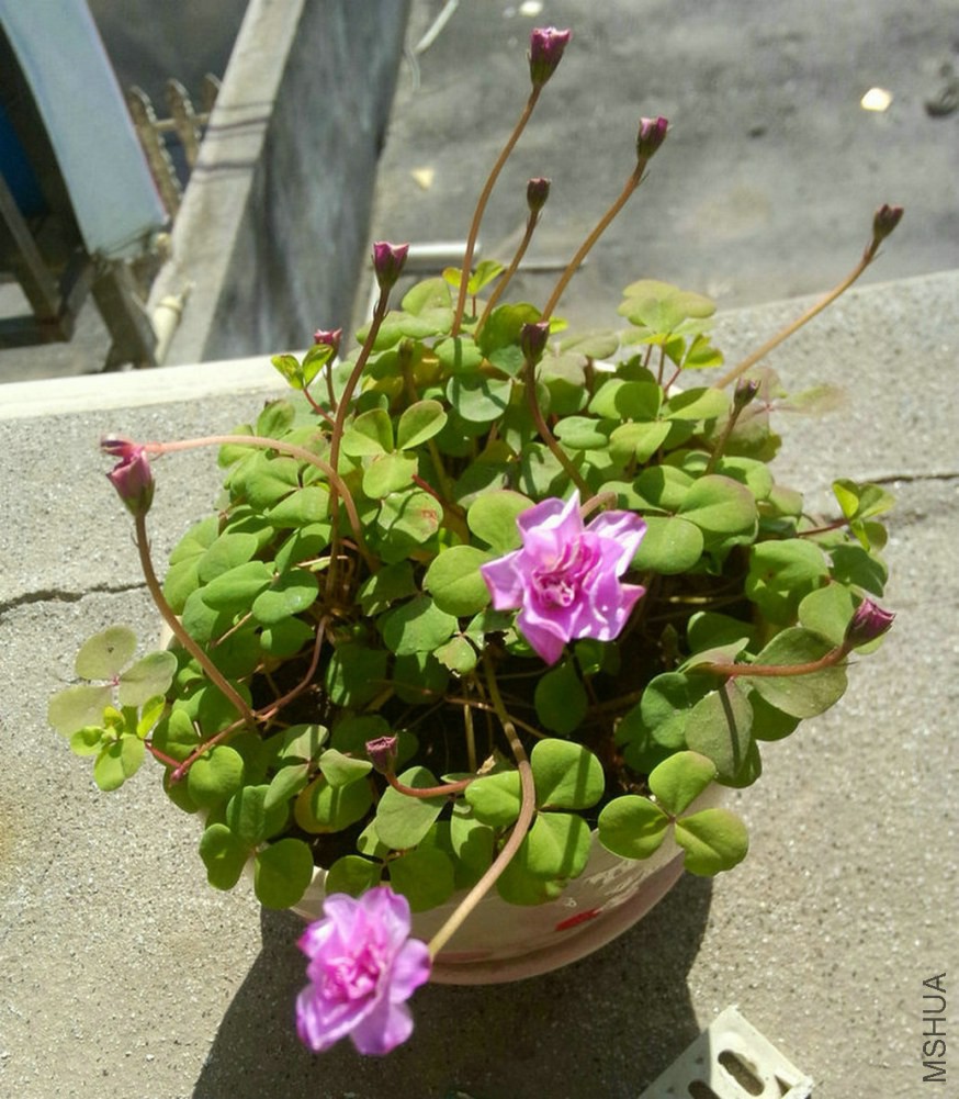 IMG20141217114135.jpg