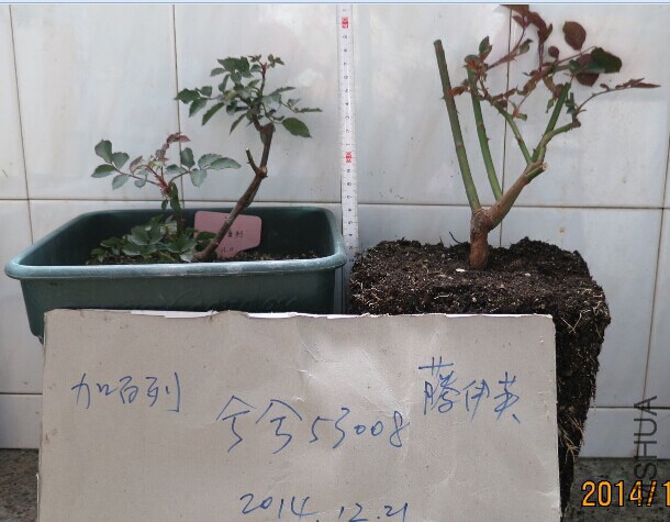QQͼƬ20141221120354.jpg