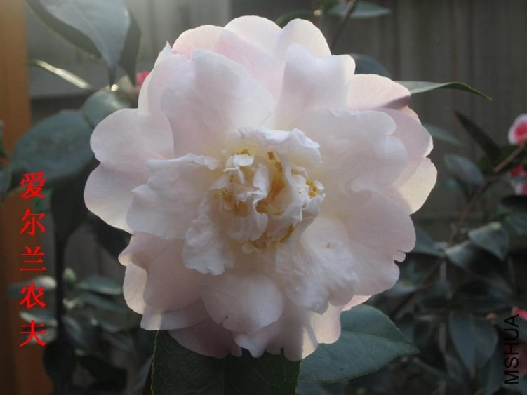 ������ũ�� (1).jpg