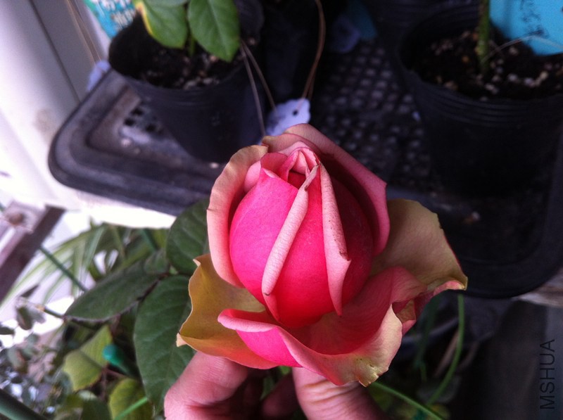 022_����.jpg
