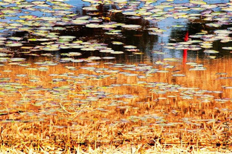 psb (6)_����.jpg