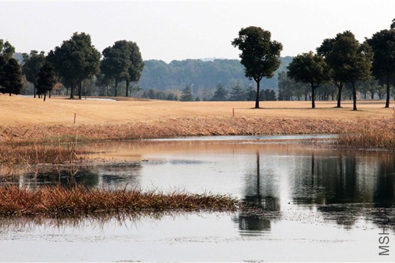 psb (5)_����.jpg