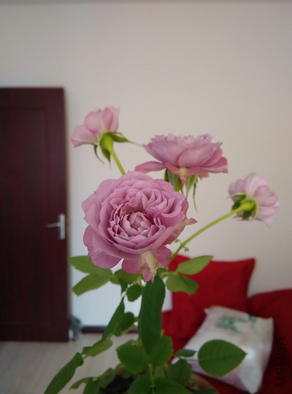 QQͼƬ20141221160414.jpg