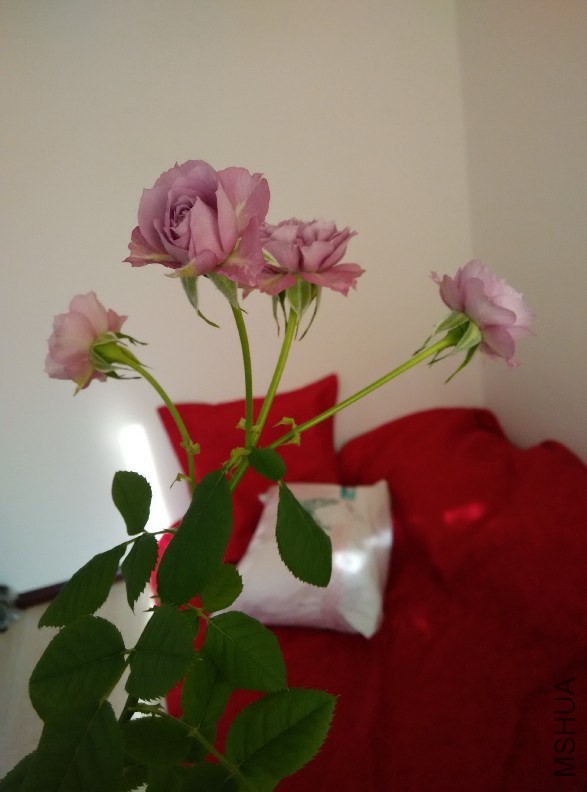 QQͼƬ20141221160426.jpg