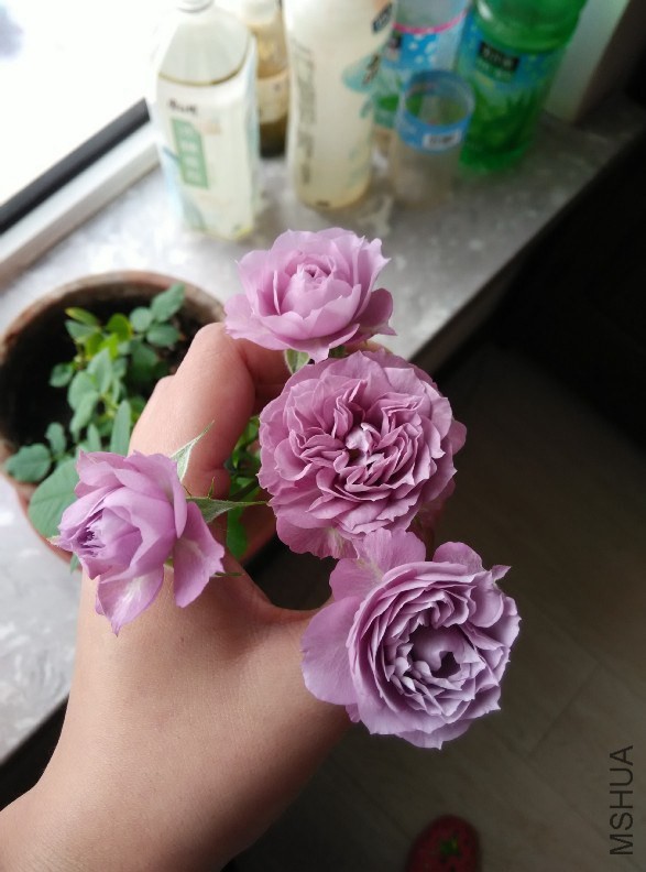QQͼƬ20141221160443.jpg