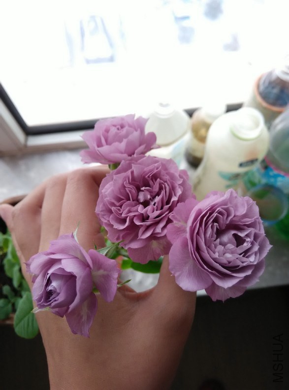 QQͼƬ20141221160445.jpg