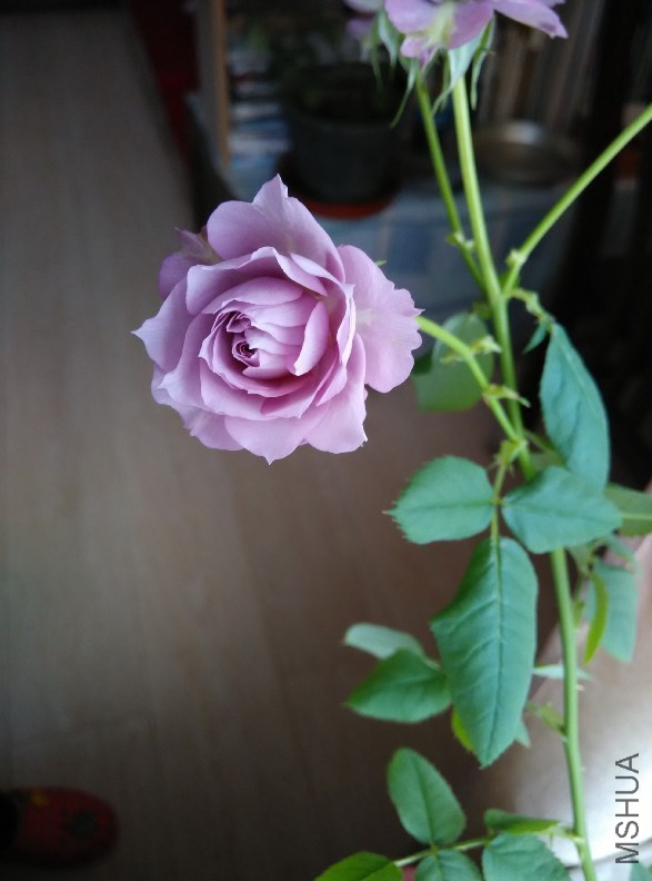 QQͼƬ20141221160519.jpg
