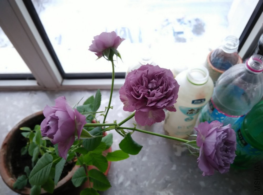 QQͼƬ20141221160451.jpg