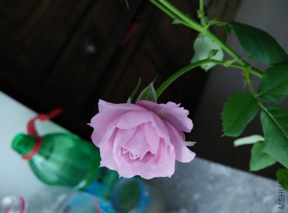 QQͼƬ20141221160454.jpg
