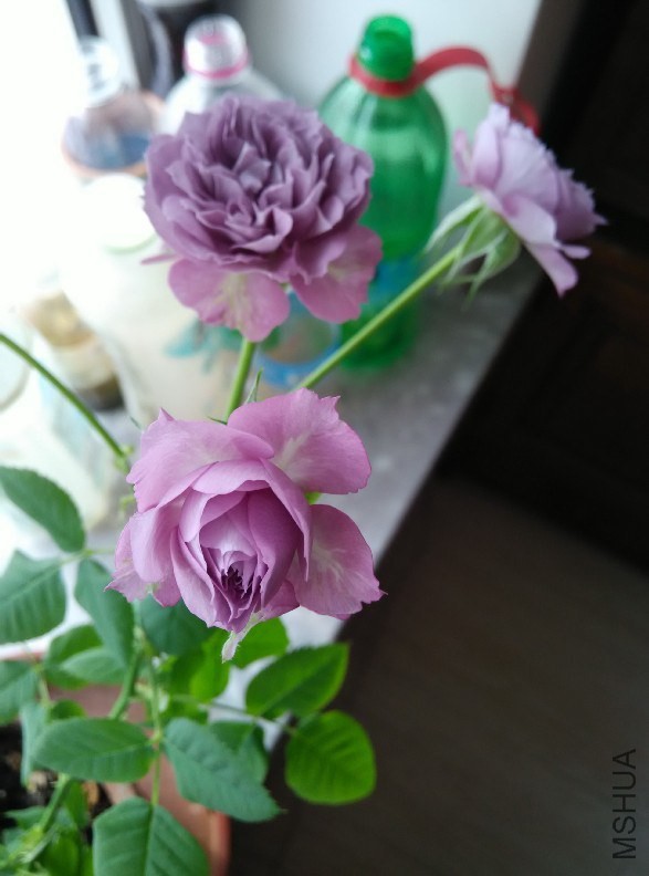 QQͼƬ20141221160458.jpg