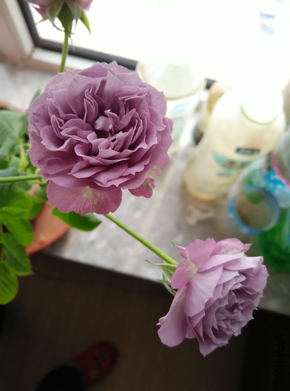 QQͼƬ20141221160502.jpg