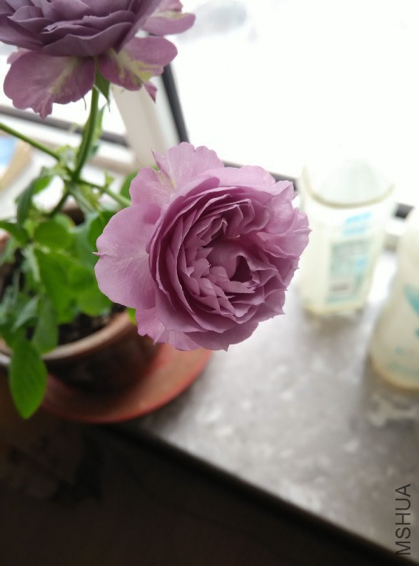 QQͼƬ20141221160508.jpg