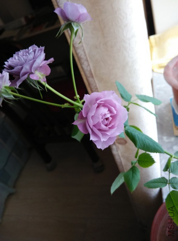 QQͼƬ20141221160511.jpg