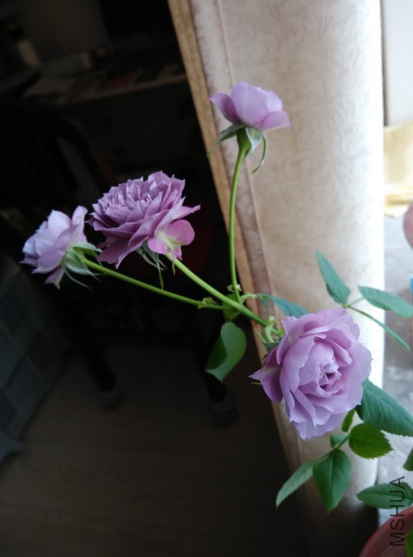 QQͼƬ20141221160514.jpg