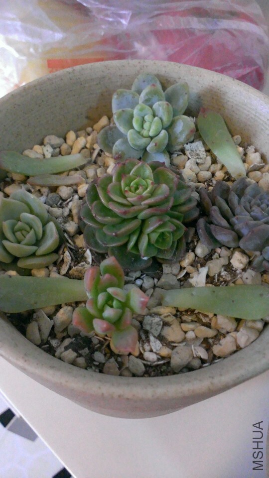 QQͼƬ20141221170439.jpg