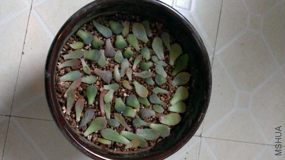 QQͼƬ20141221171605.jpg