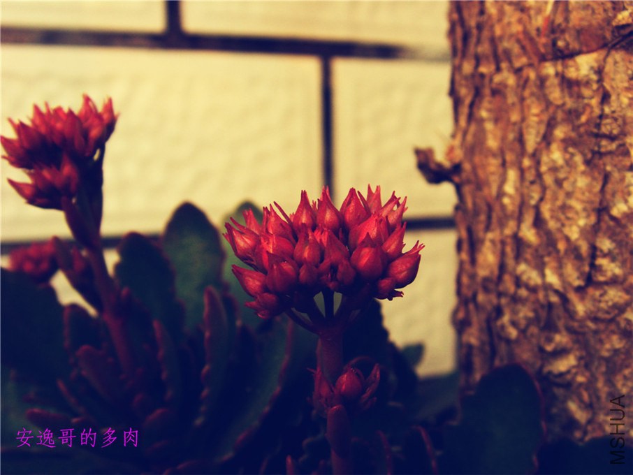 S73F8787.jpg