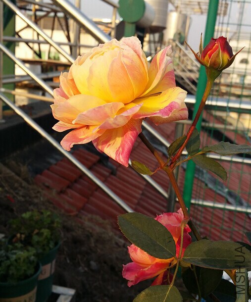 QQͼƬ20141222160320.jpg