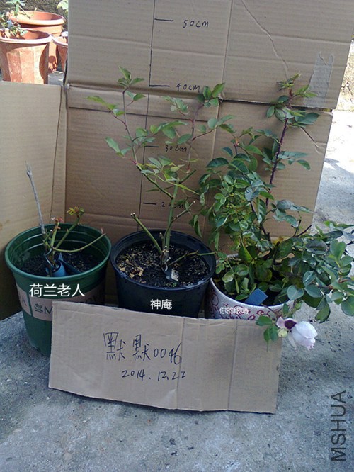 ��Ƭ0387_����.jpg