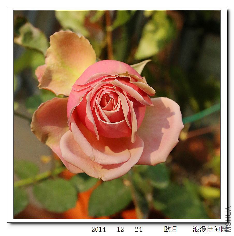 2014122401.jpg