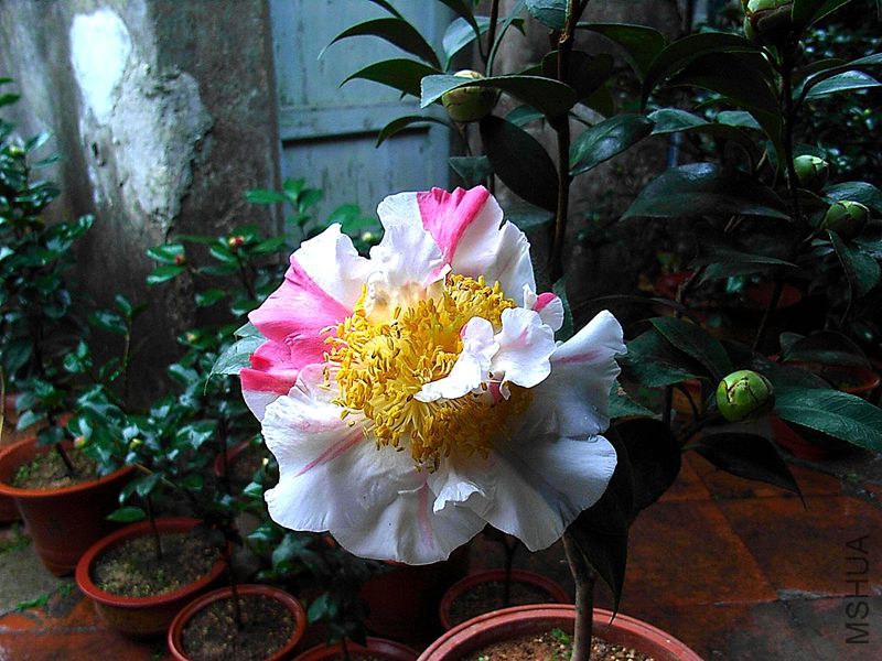 R0014009_����.jpg
