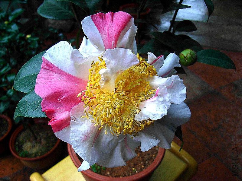 R0014014_����.jpg