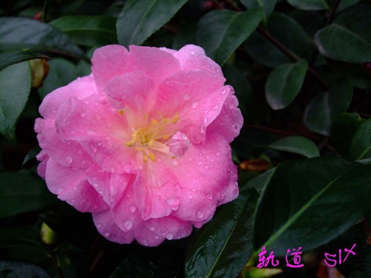 ��� 10-3-24f (1).jpg