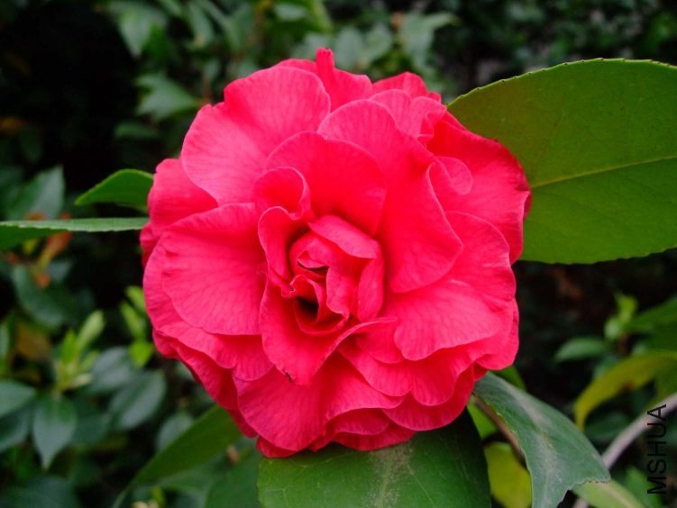 ��� 2012-4-19f 002.jpg