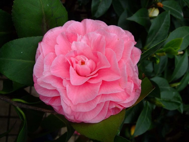 ��� 2012-4-18f 030.jpg