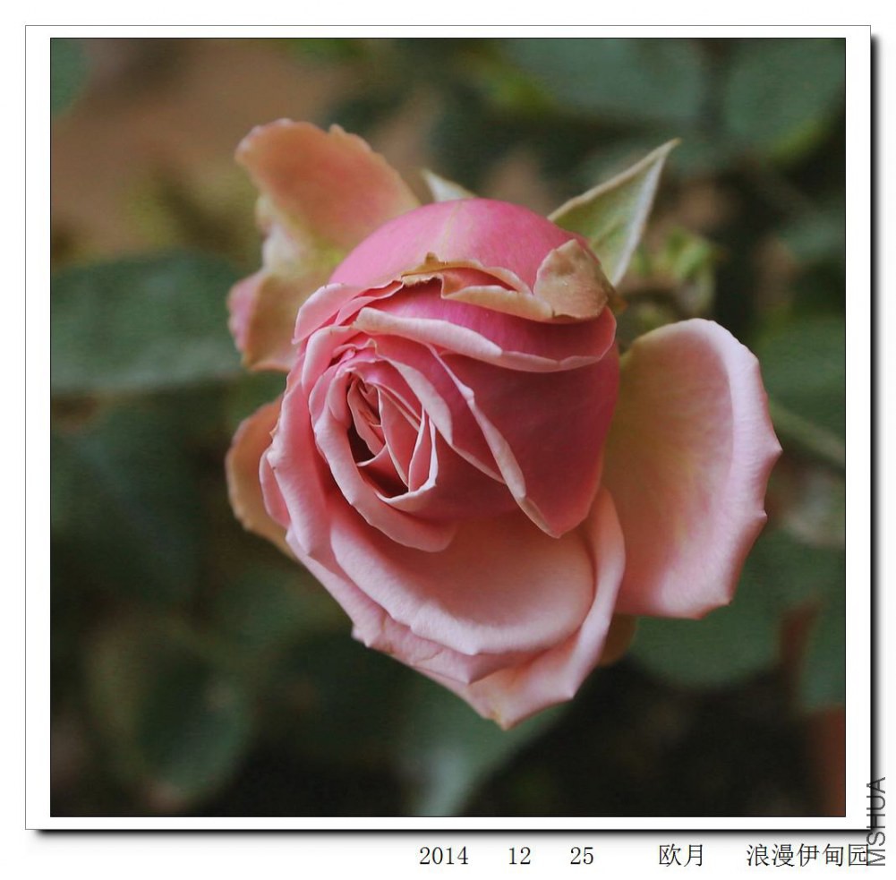 2014122502.jpg