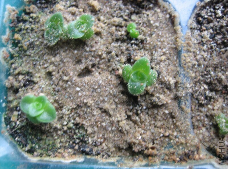 QQͼƬ20141226104035.jpg