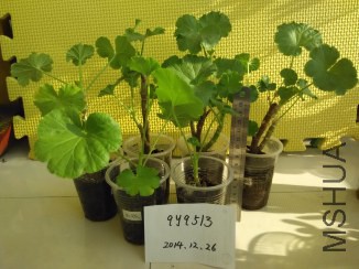���룬10Ԫһ��