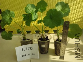�ɺ�������15Ԫһ��
