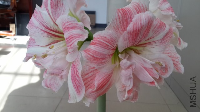 20141215_110359 (640x360).jpg