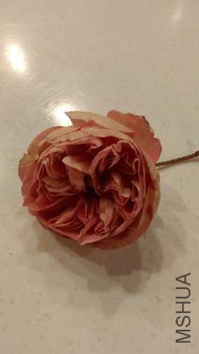 IMAG0506.jpg