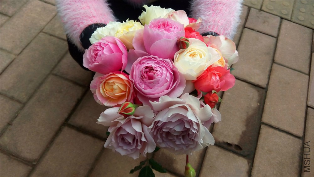 IMG_20141225_105840.jpg